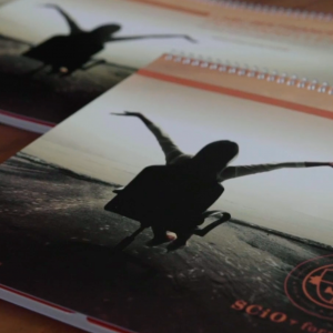 L'ABC des finances personnelles - en ligne